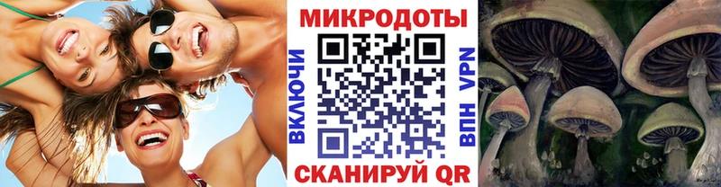Галлюциногенные грибы прущие грибы Берёзовский